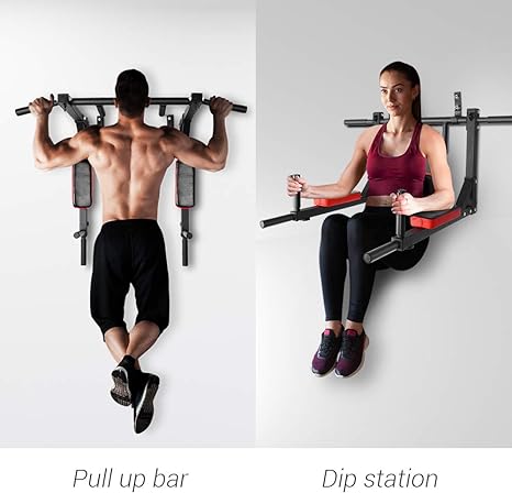 Wall Mounted Gyms