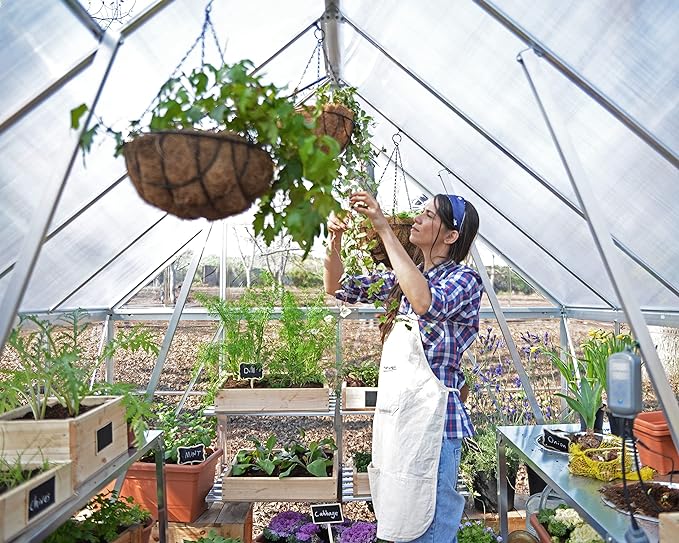 The 7 Best Greenhouses for Outdoors: Protecting Your Plants in Style